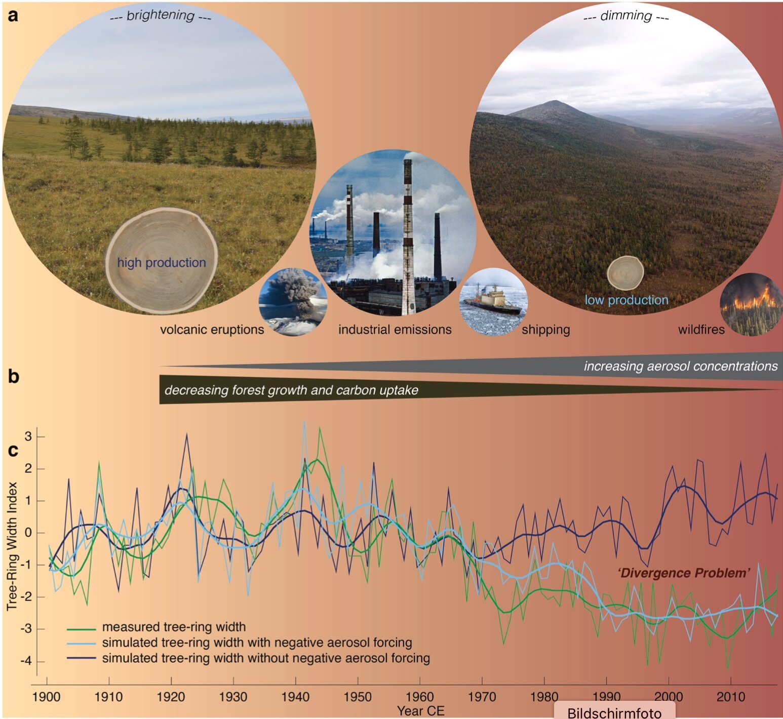 Arctic aerosols and the ‘Divergence Problem’ in dendroclimatology