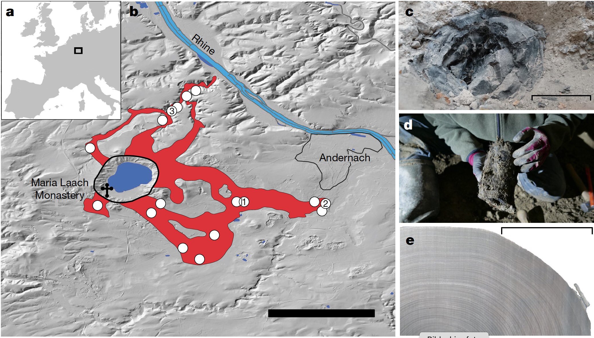 Precise date for the Laacher See eruption synchronizes the Younger Dryas