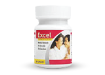 Herbal Viagra