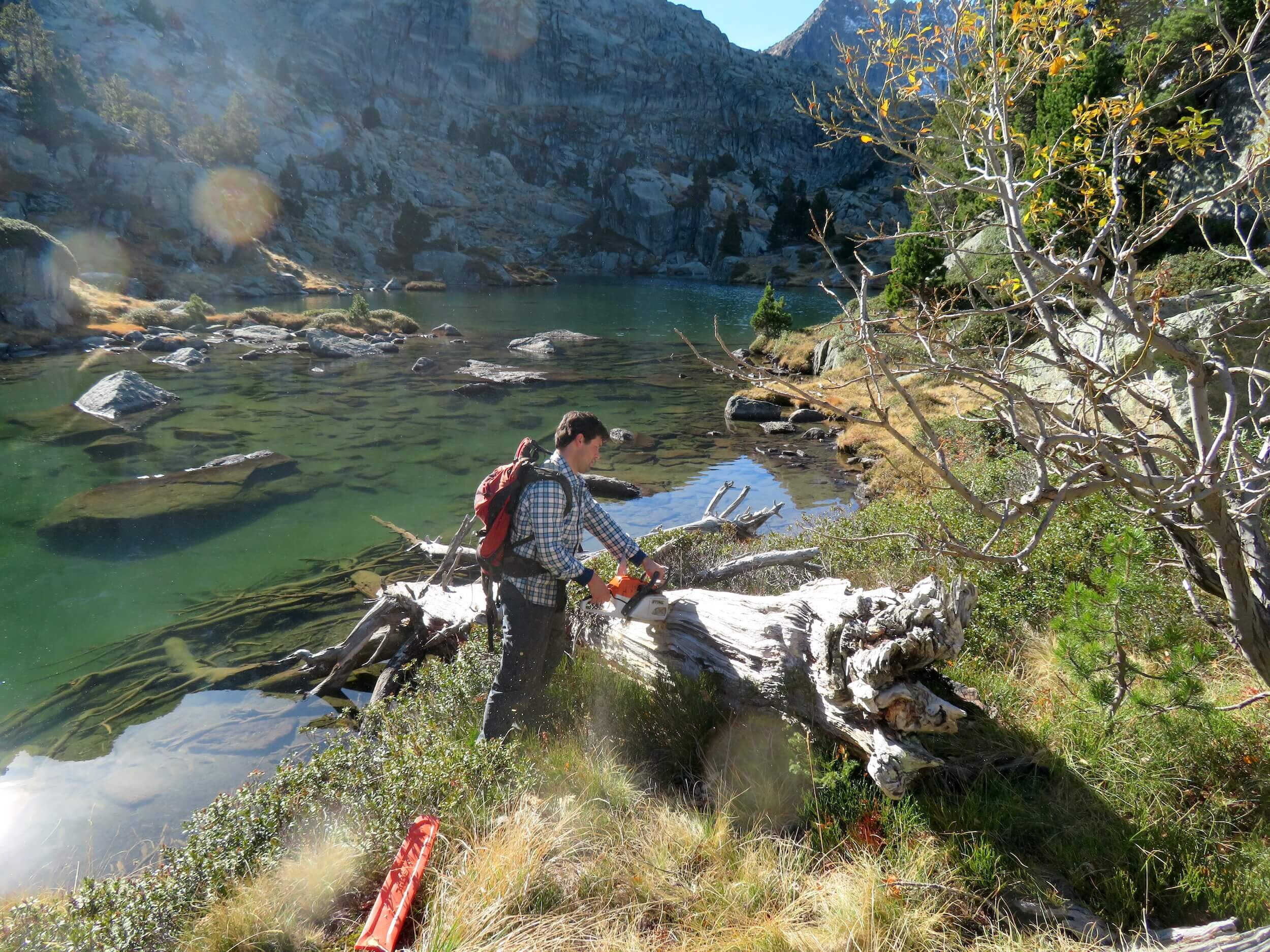 Pyrenees_CabanasSampling_112017_Buentgen Dendrochronology.JPG
