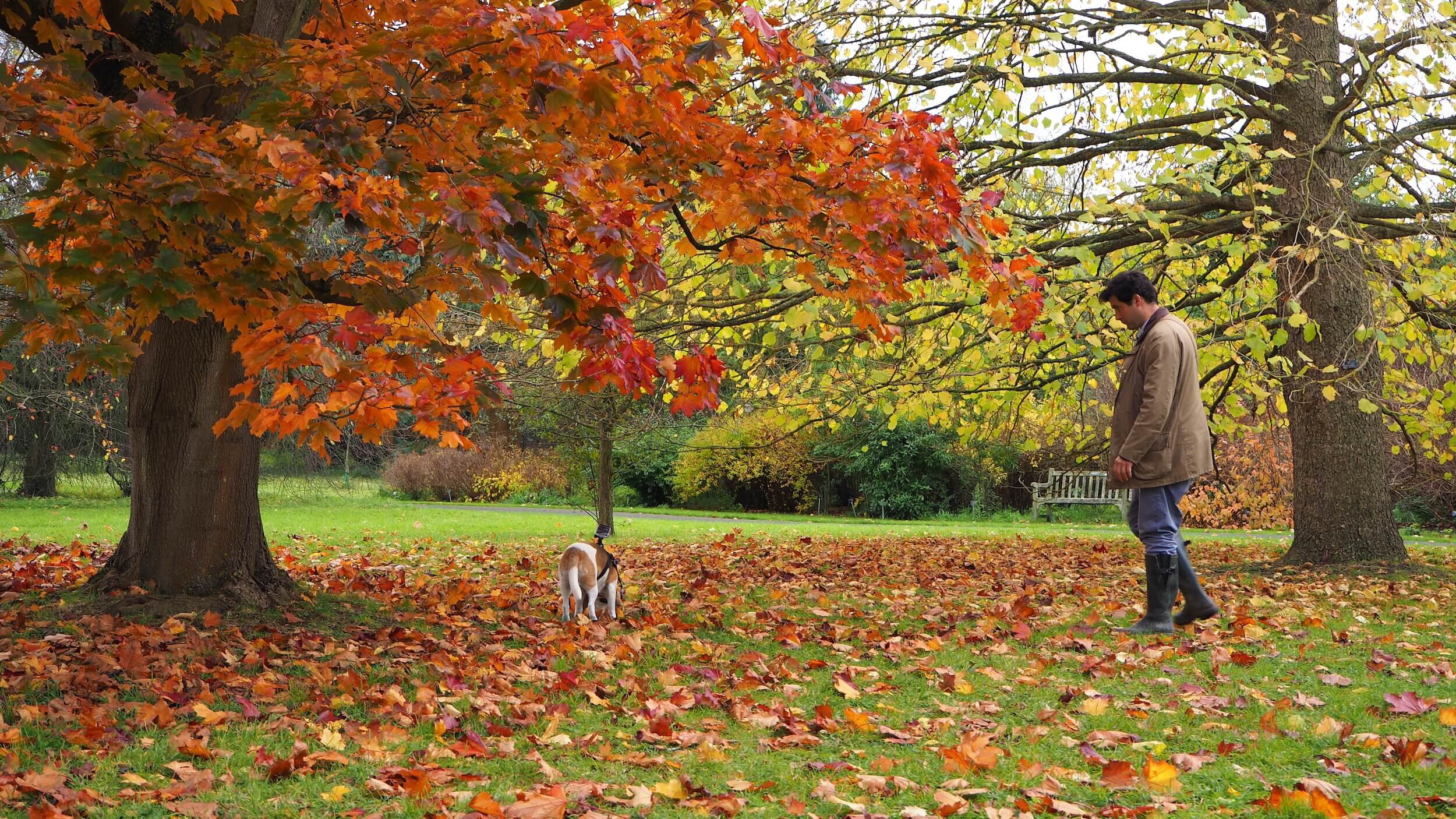 Illuminating the Hidden Kingdom of the Truffle