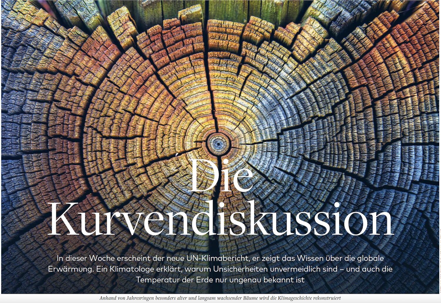 Die Kurvendiskussion pic.jpg