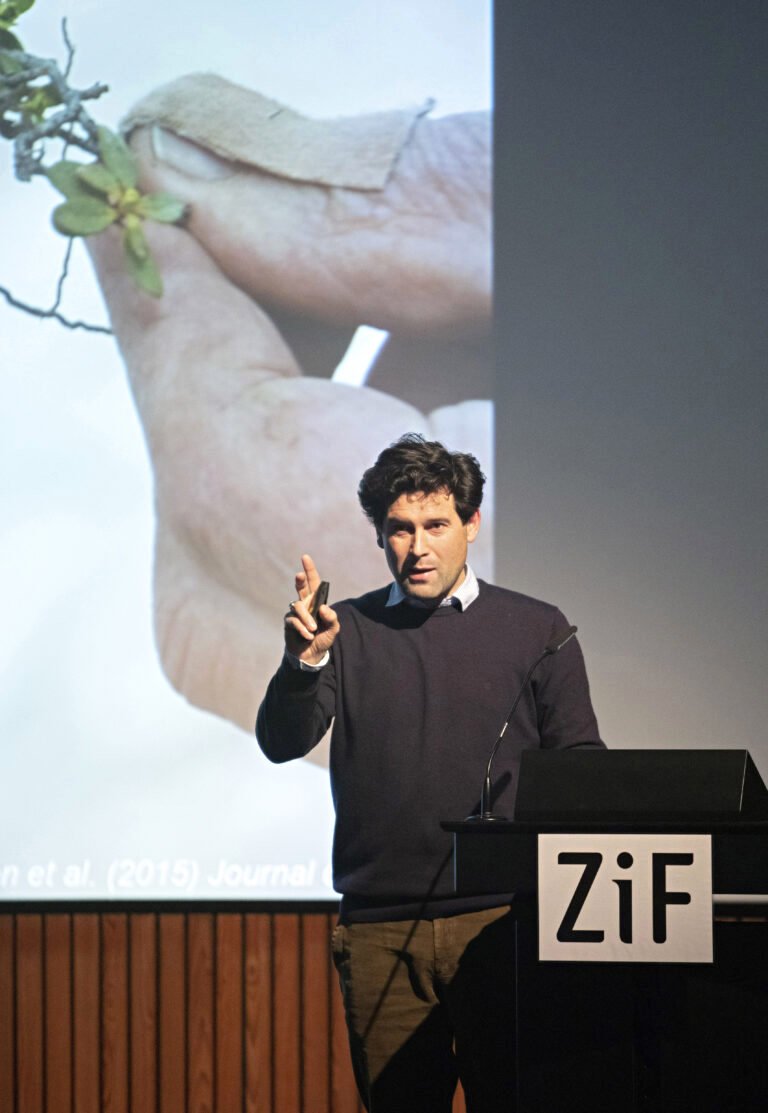 Volcanoes, Climate and History